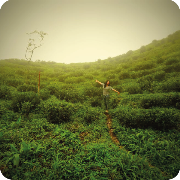 7 Scenic and Little-Known Tea Towns of India